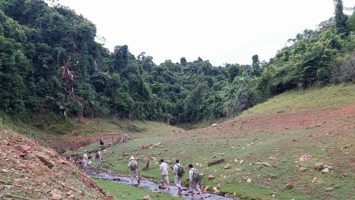Restoring forests, conserving biodiversity in Hue City